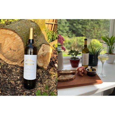 Bodegas Sonsierra Viura Fermentado en Barrica - new vintage 2025