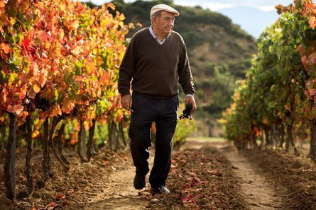 Legendary winemaker Vitorino Eguren Ugarte visiting in September